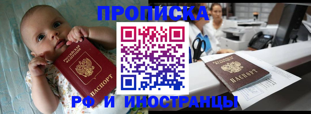 прописка поиск в Шелехове